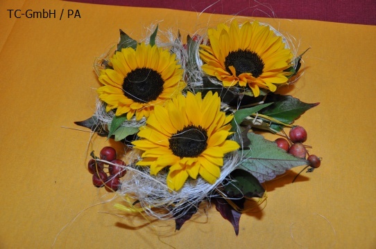 DSC_4187.JPG