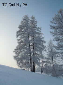 DSCN2695.JPG