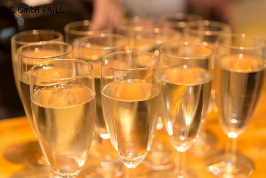 20151231_Silvesterball_082.jpg